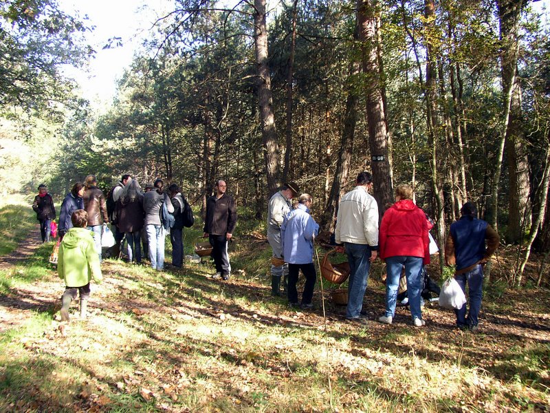 Mares au vinaigre 09